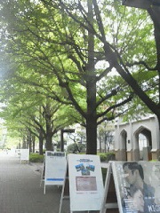 青山学院２.jpg