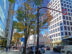 20221125_104459 (002).jpg