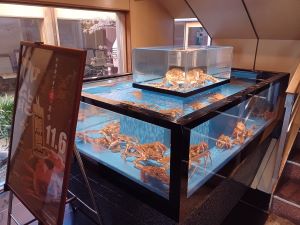 20221215_151205 (002).jpg