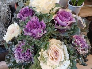 20221218_150947 (002).jpg