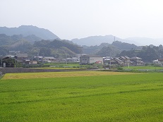 TPP日本風景.jpg