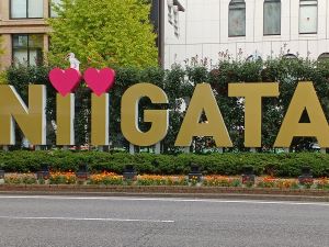 niigata15.jpg